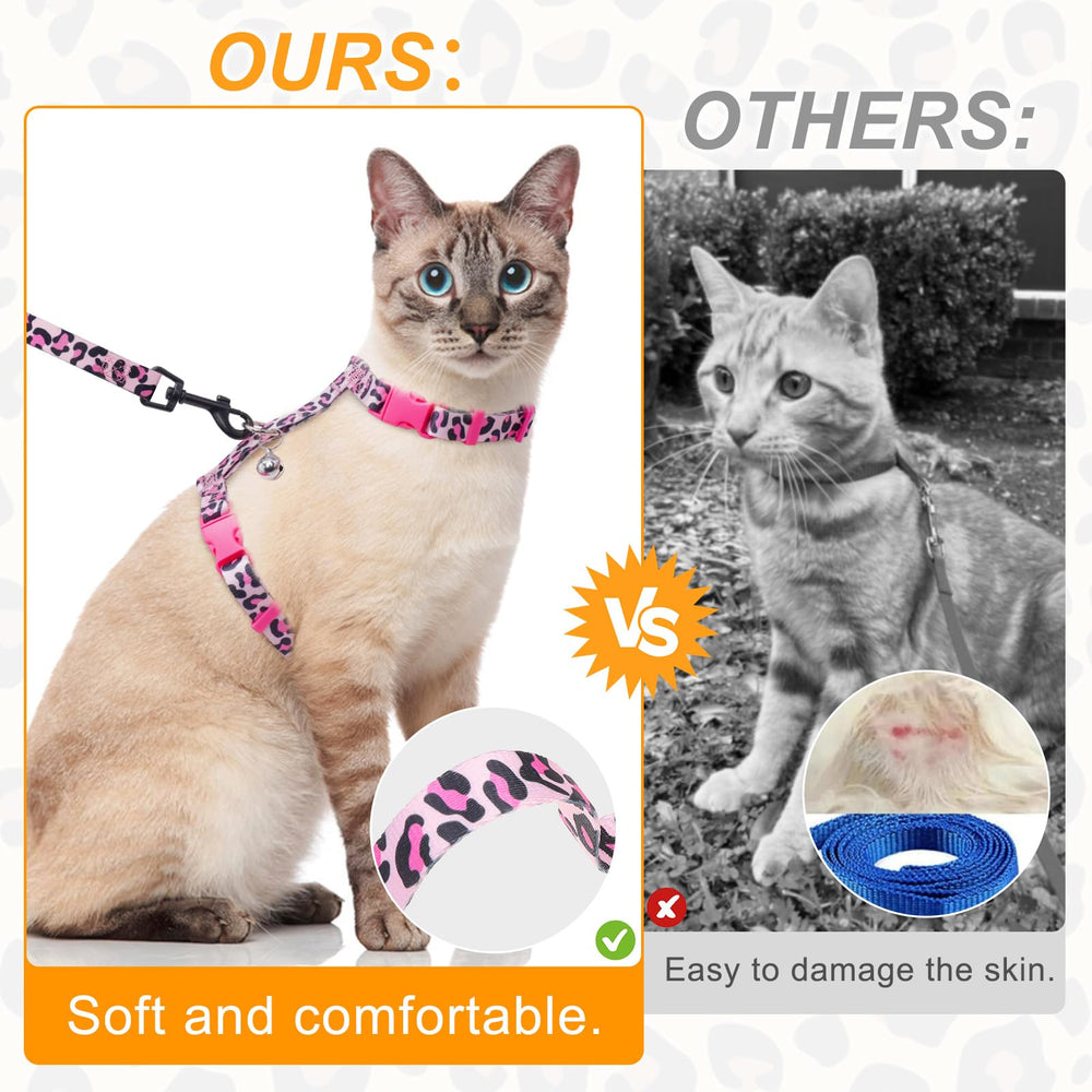 BEAUTYZOO outdoor-walk setup pairs with secure D-ring for ID tagging.