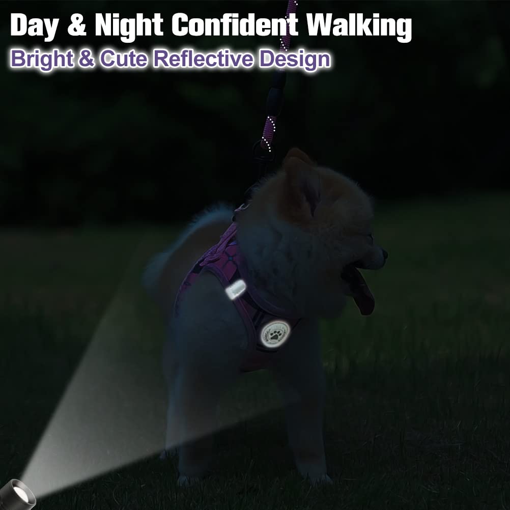 BeautyZoo padded-handle leash offers comfortable grip on longer strolls.