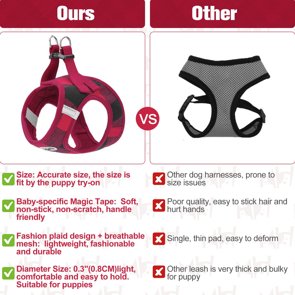 BEAUTYZOO padded handle leash ensures comfortable grip during long walks.