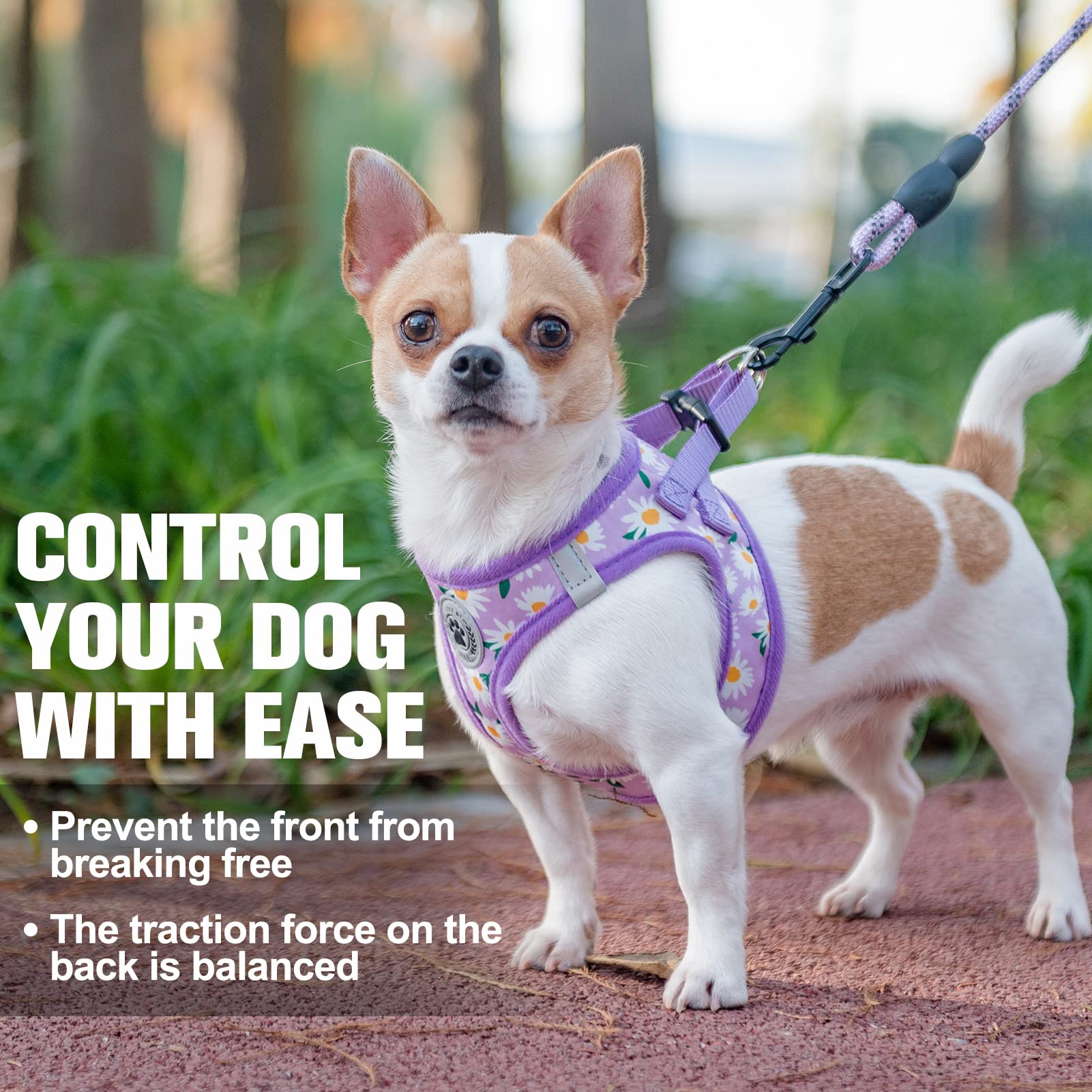BEAUTYZOO padded-handle nylon leash close-up for comfortable grip