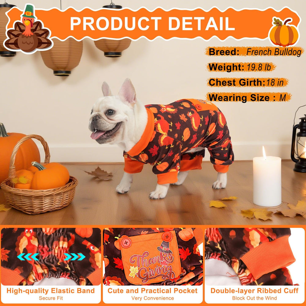 BEAUTYZOO stylish patterns and colors to suit any dog