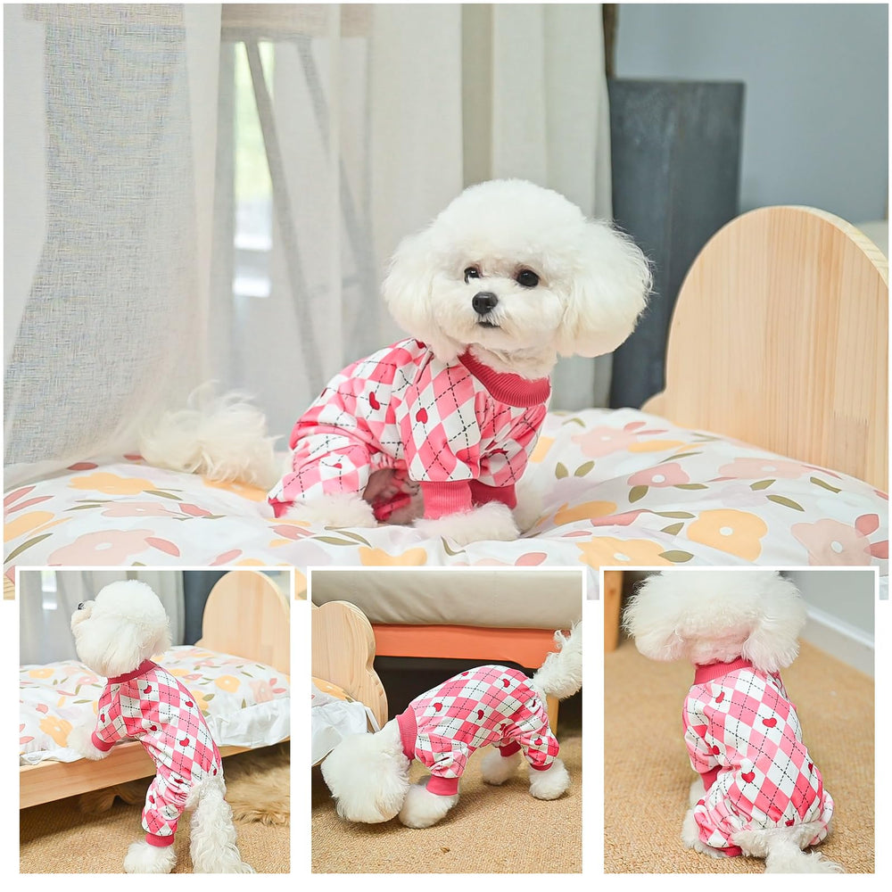 BeautyZOO multiple patterns and colors for pet personality expression