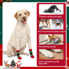 BEAUTYZOO paw-protection socks on pavement, shielding paws from hot and cold surfaces.
