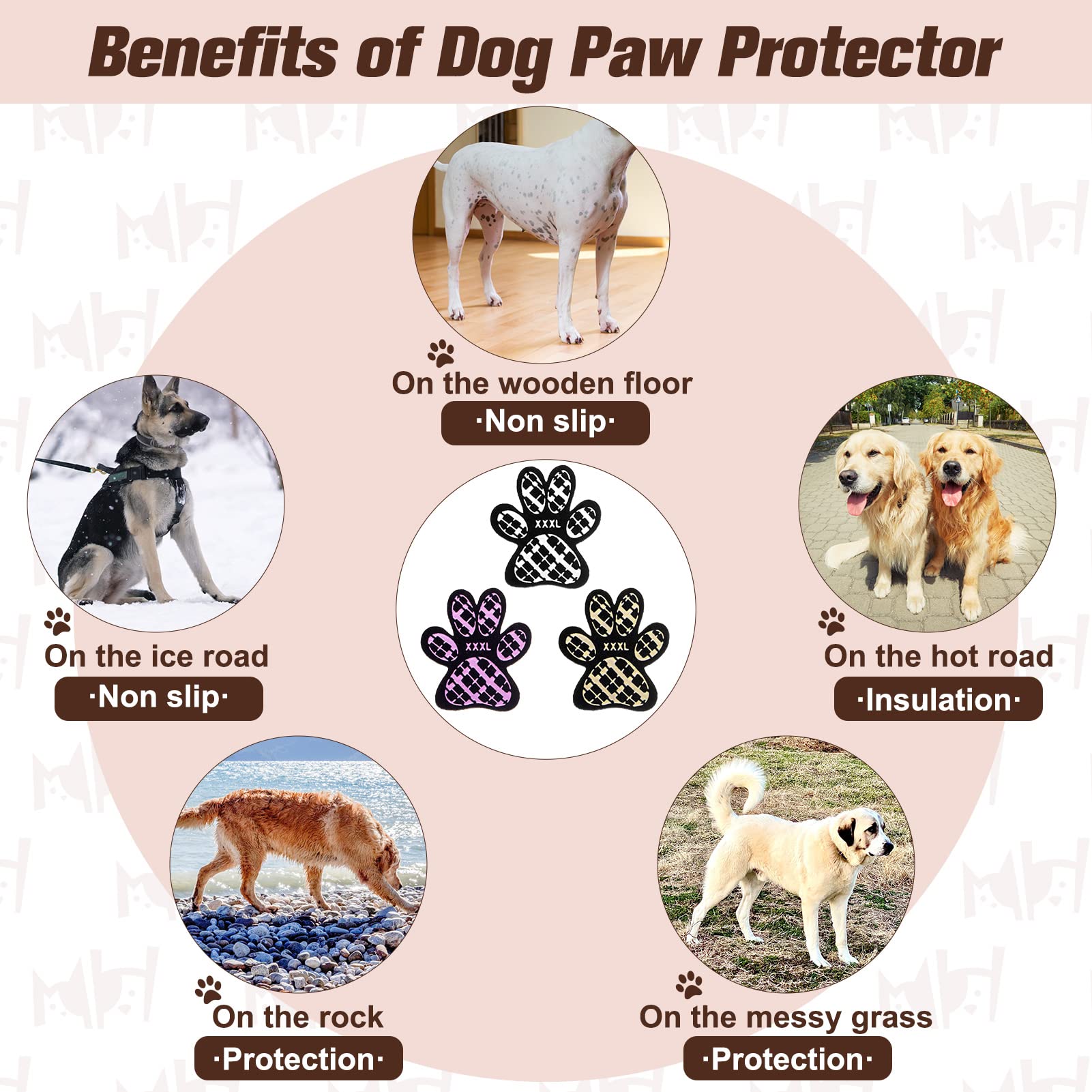 BEAUTYZOO paw protector on hot pavement demonstrates protective, heat-resilient comfort.