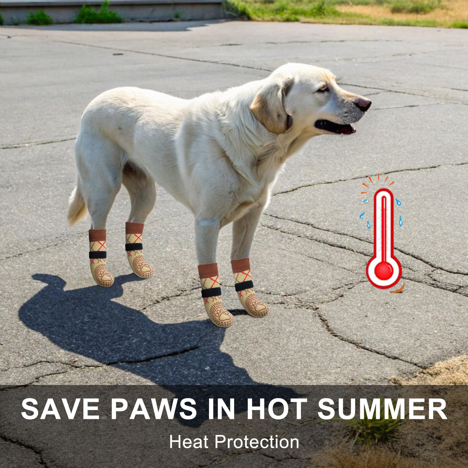 BEAUTYZOO paw-protectors displayed on tiles illustrate protection from hot pavement and slips.