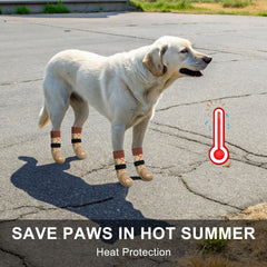 BEAUTYZOO paw-protectors displayed on tiles illustrate protection from hot pavement and slips.