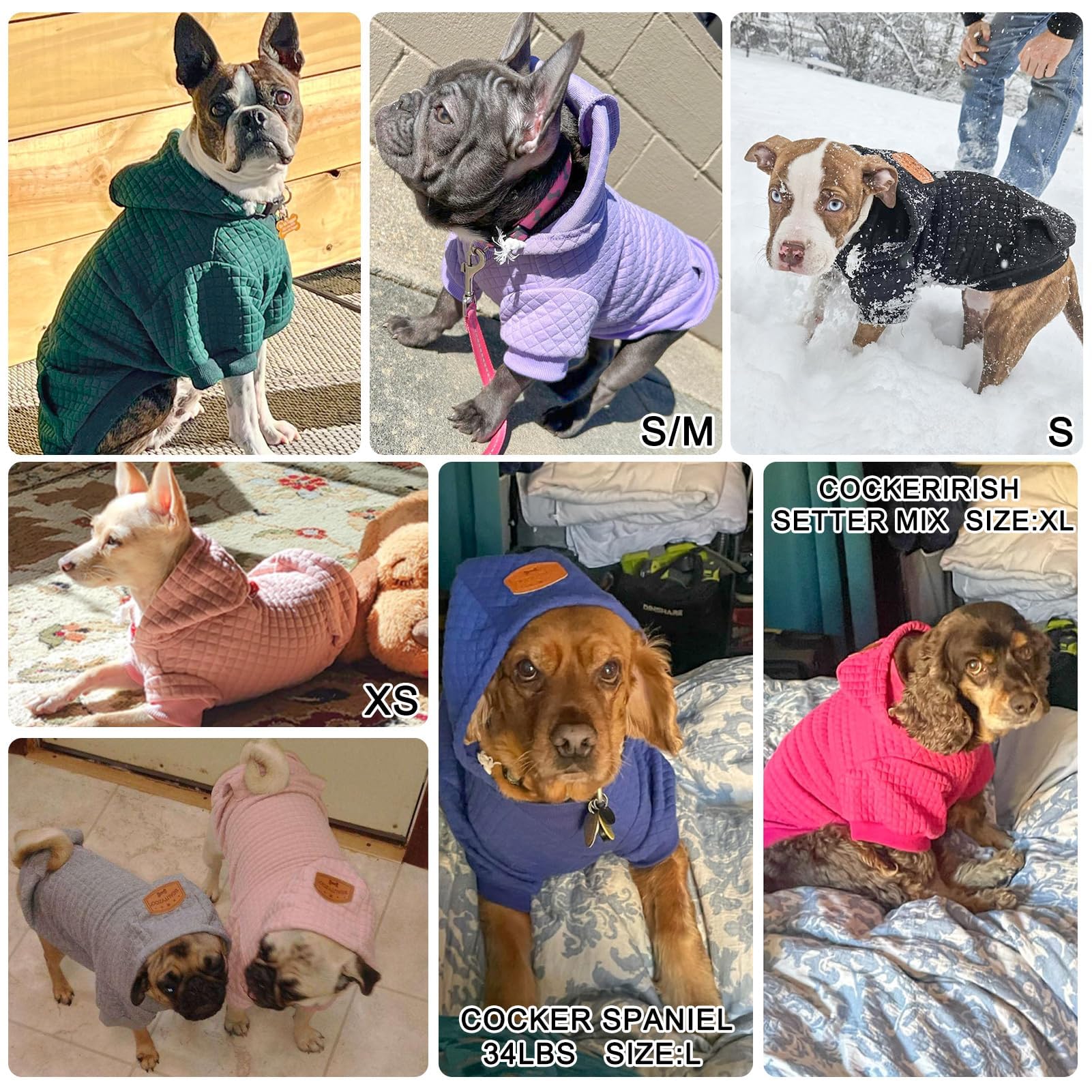 BEAUTYZOO pocket hoodie ready for outdoor adventures and small toy storage.