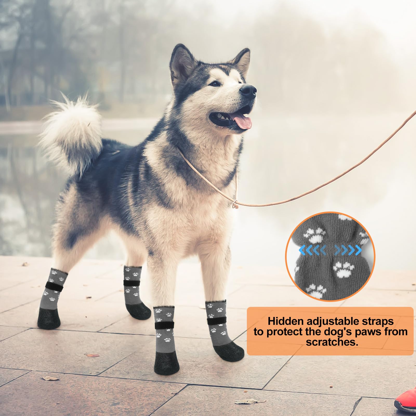 BEAUTYZOO floor-protecting paw socks guard furniture and hardwood from scratches.