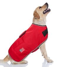 BEAUTYZOO red color option standing out while keeping dogs warm.