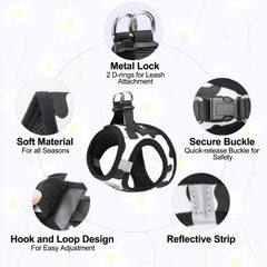 BEAUTYZOO reflective band harness improves visibility in low light