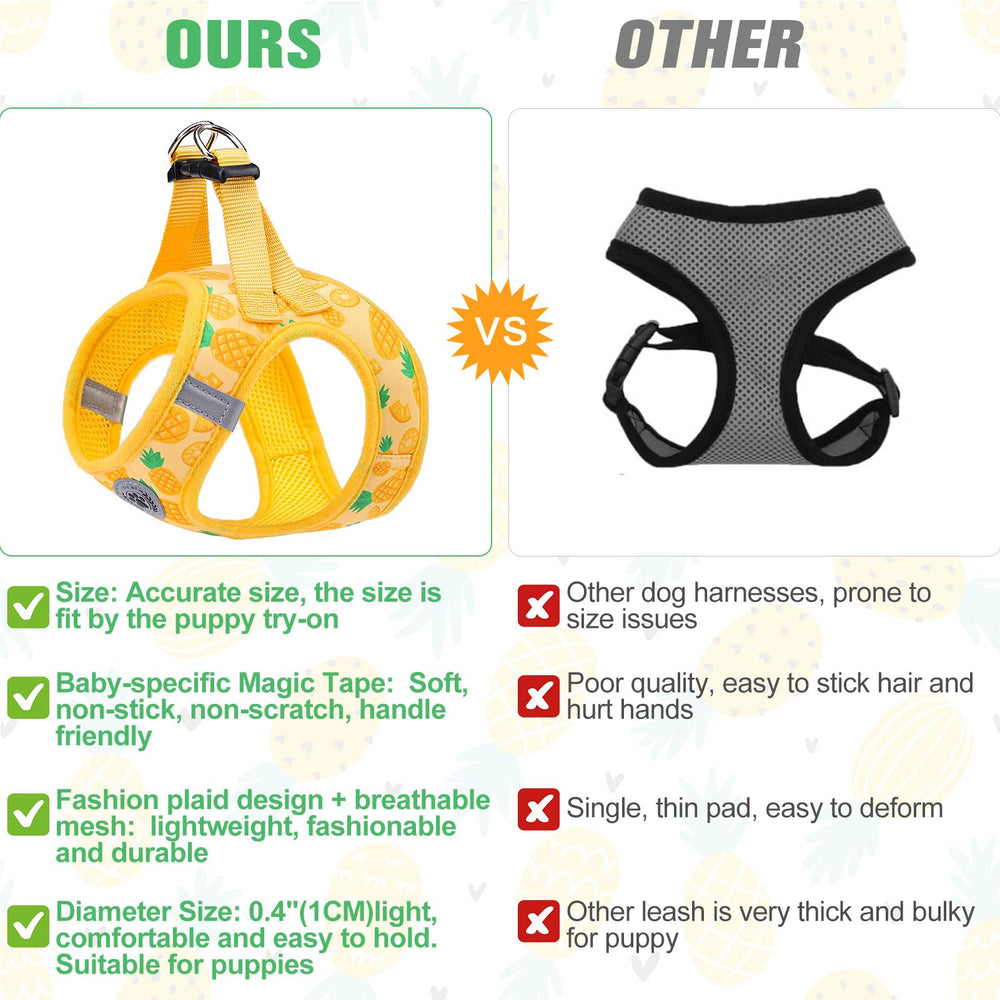 Beautyzoo reflective 5ft leash improving visibility and control.