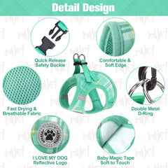 BEAUTYZOO reflective strips shown for safer night visibility.
