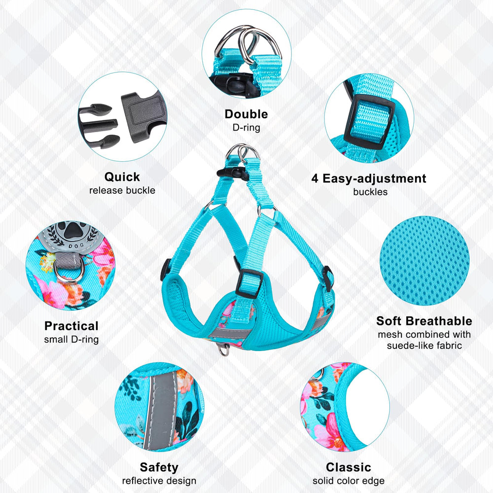 BEAUTYZOO reflective tabs on harness for safer night walks.