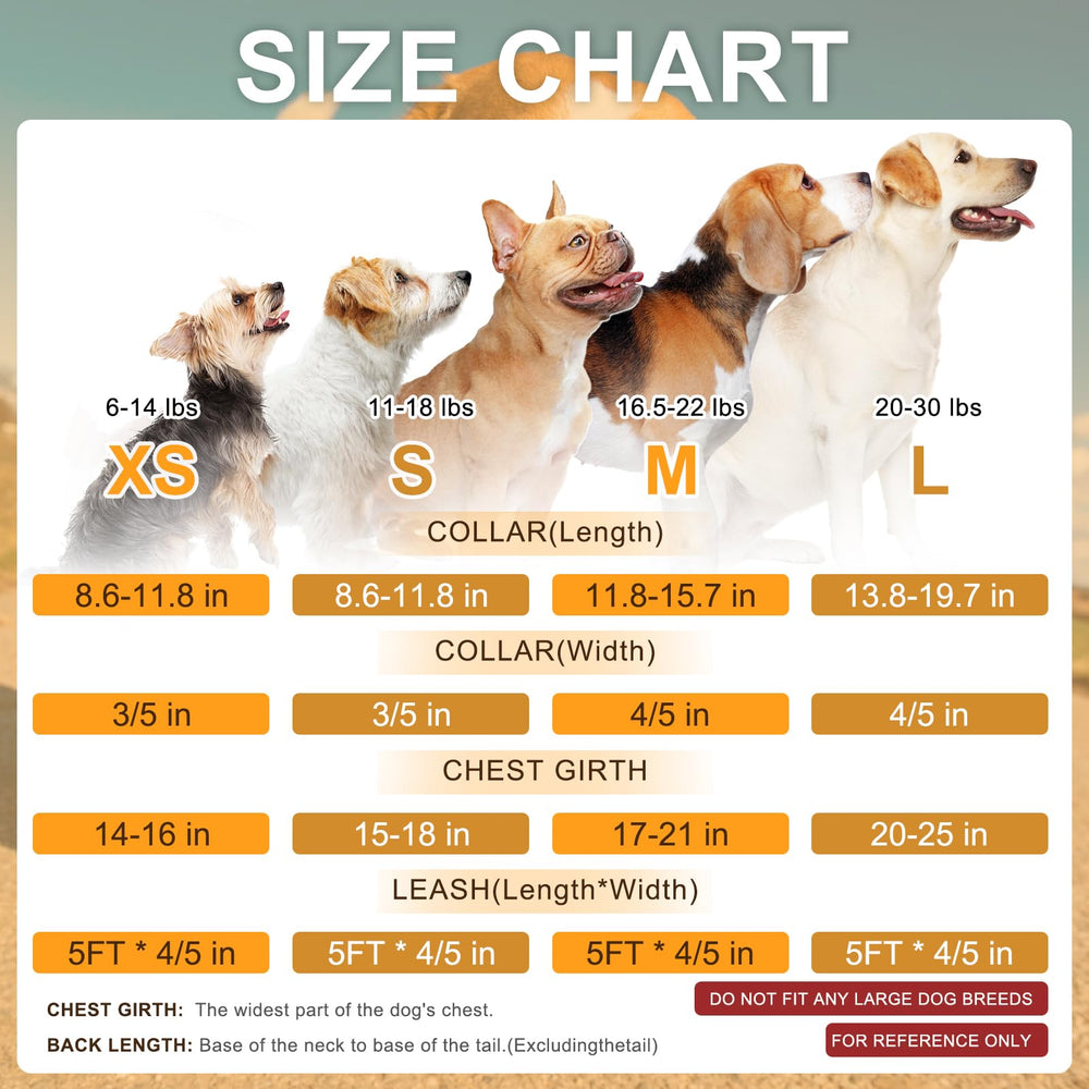 BEAUTYZOO puppy-friendly harness suited for safe daily walks