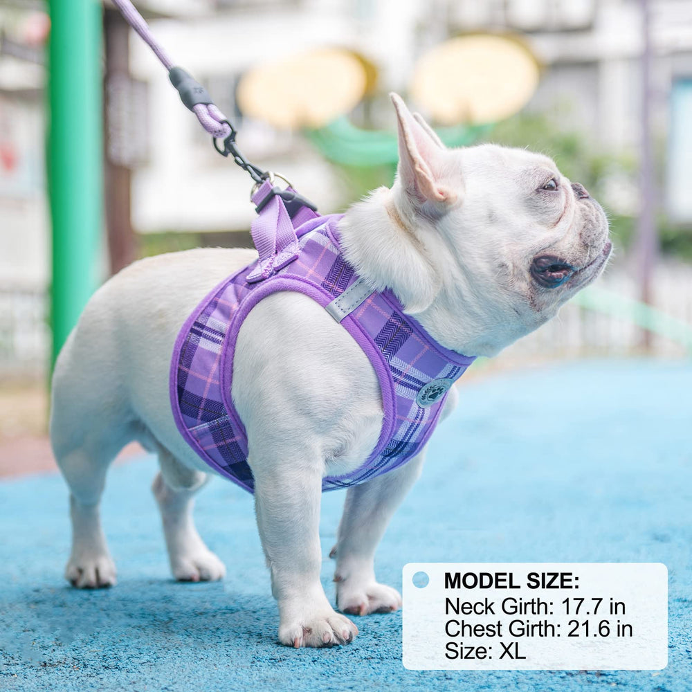 BEAUTYZOO compact package highlights safety, comfort, and quick wear.