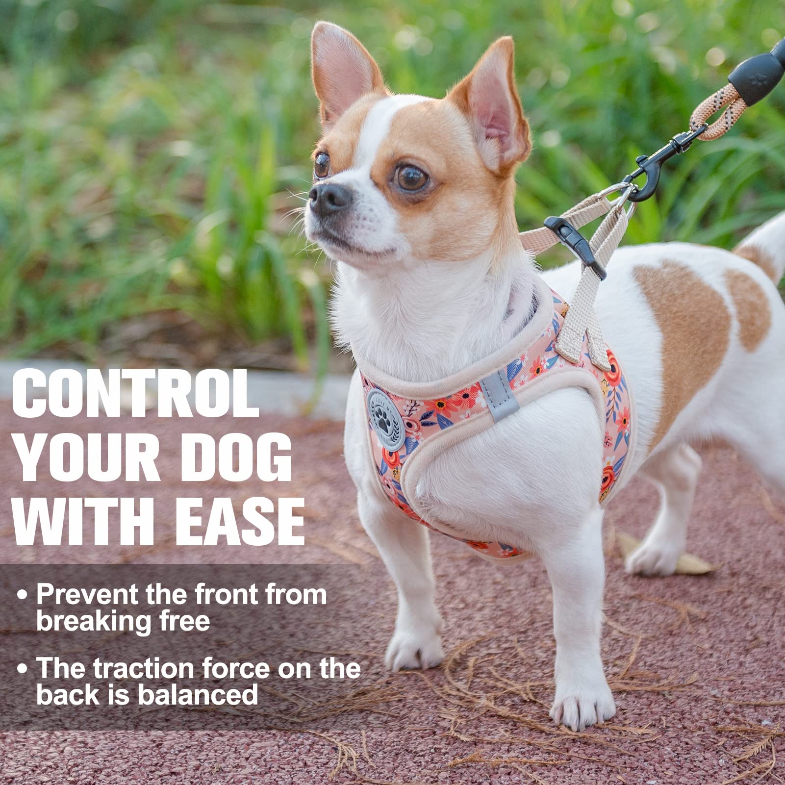 BEAUTYZOO Small-Dog Harness fits chest girth 13-14.5 inches.