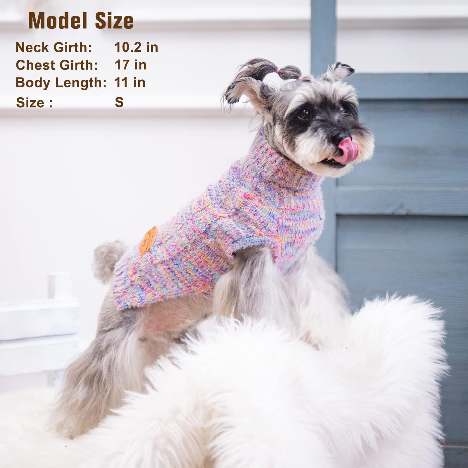 BEAUTYZOO back leash hole demonstrates easy leash attachment for daily walks.