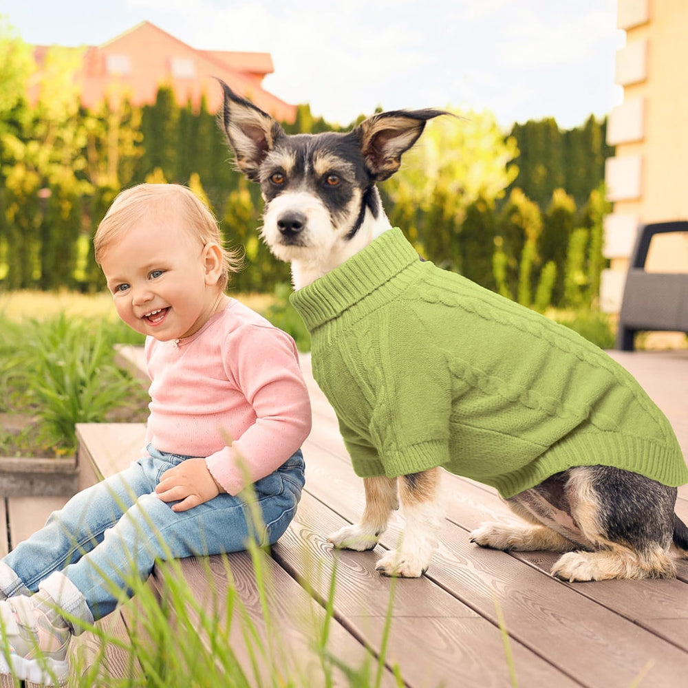 BEAUTYZOO small dog sweater worn on dog demonstrates comfortable fit during play