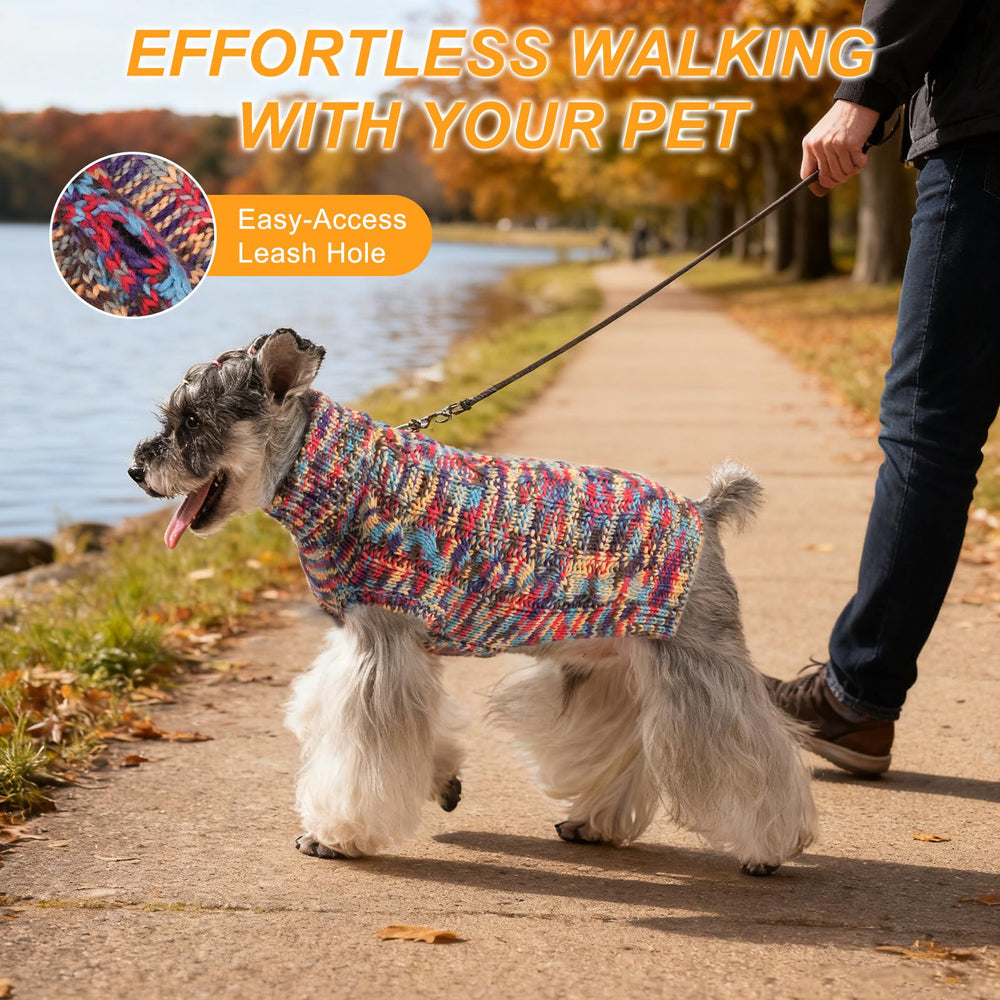 BEAUTYZOO Small Dog Sweater worn during walk on a sunny day.