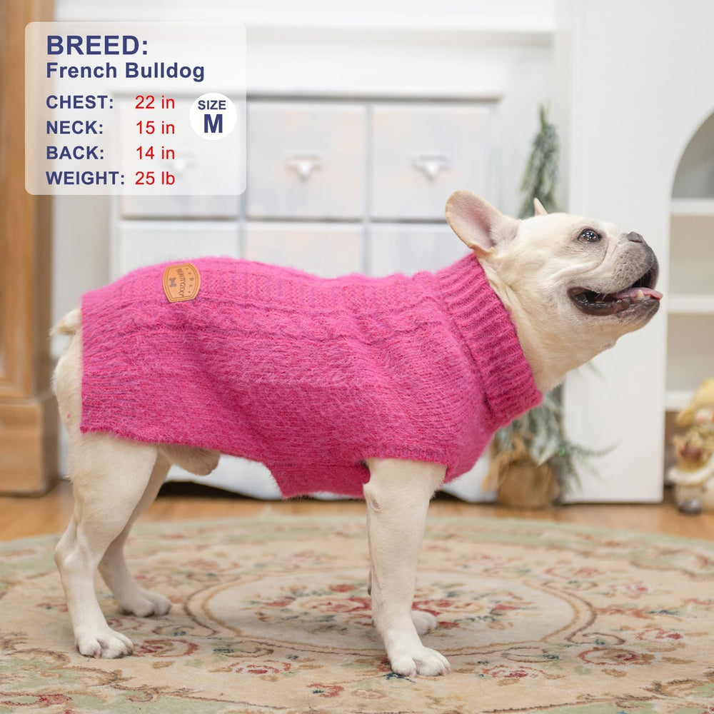 BEAUTYZOO Small Dog Sweater puppy model shot suitable as a cute photo prop
