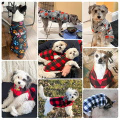 BEAUTYZOO small dog vest back with double D-rings for secure leash attachment.