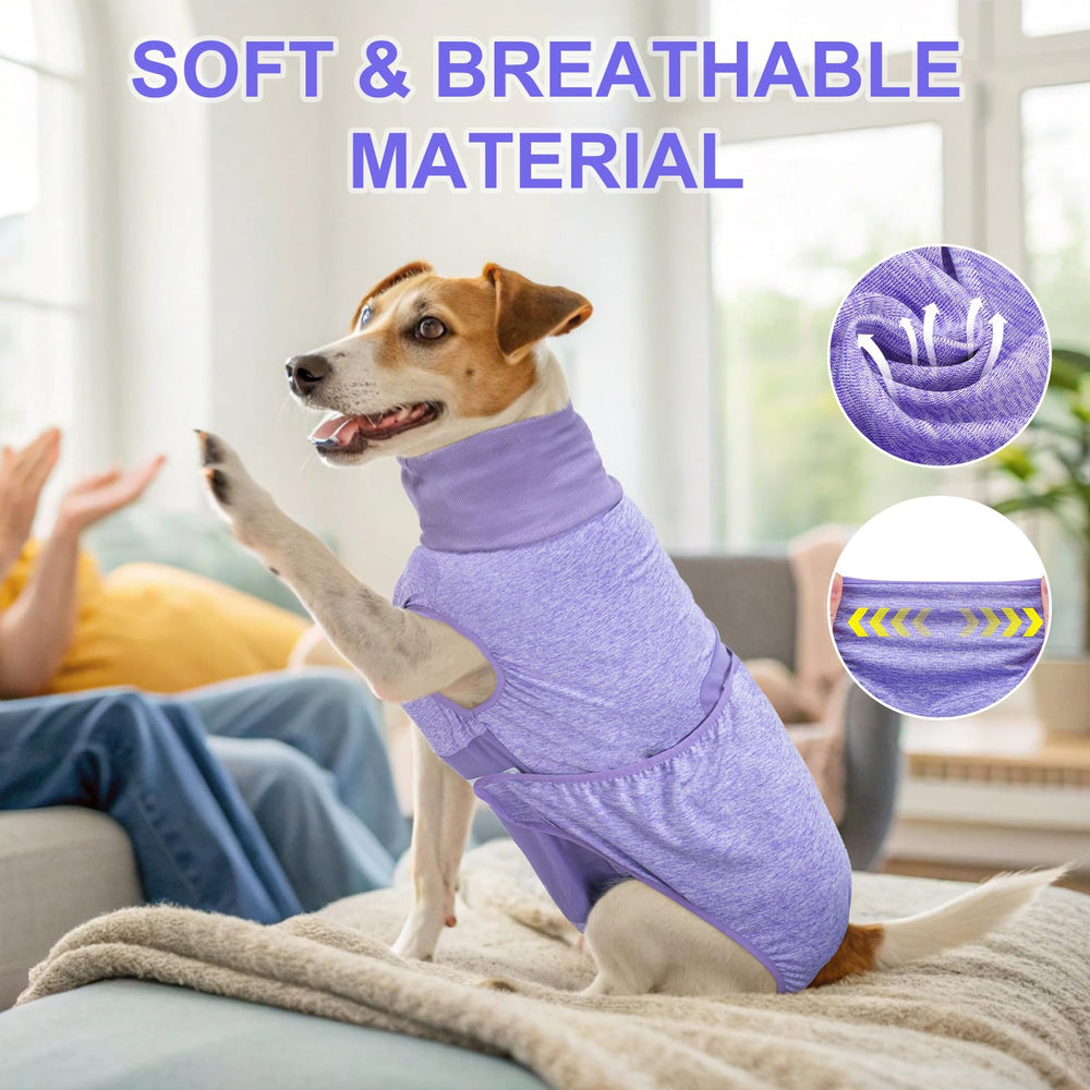 BEAUTYZOO soft breathable material dog suit highlighting comfortable recovery