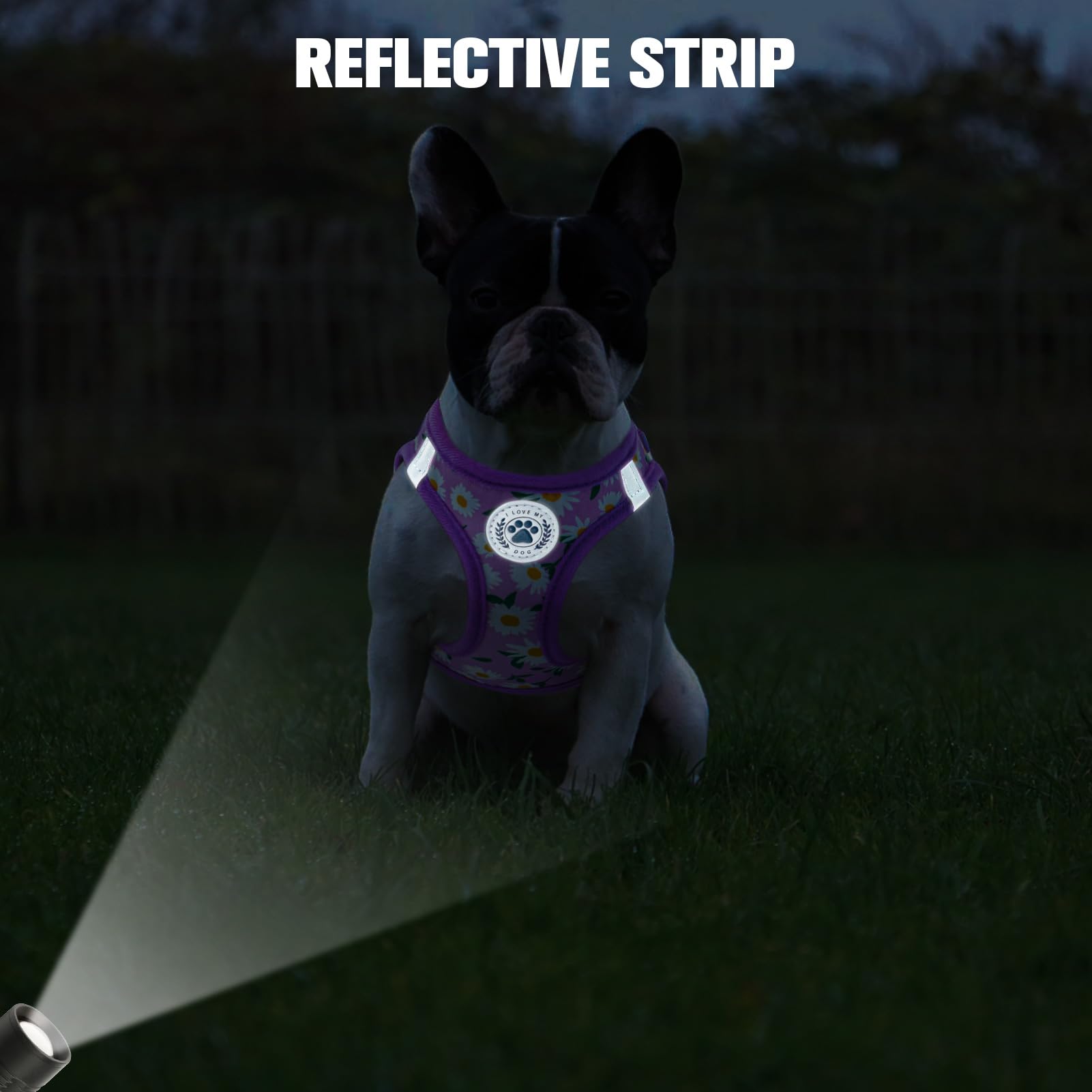 BEAUTYZOO step-in design close-up illustrating easy on-off for puppies