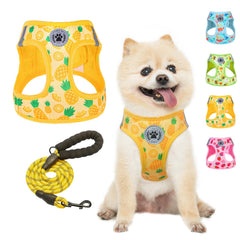 Beautyzoo Step-in harness with pineapple pattern for comfortable daily walks.