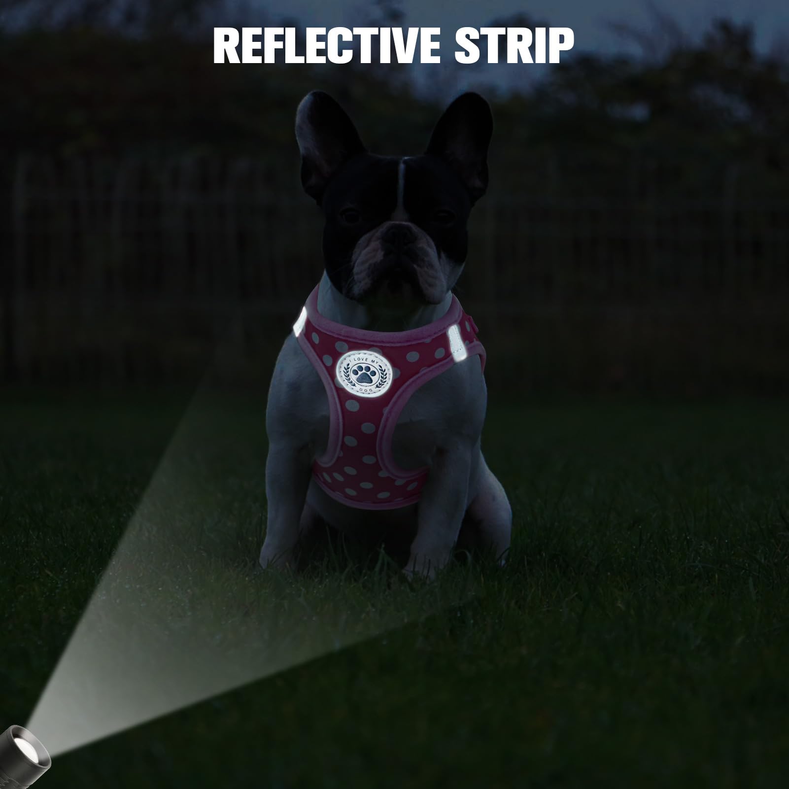 BEAUTYZOO durable nylon chest harness resists wear and rain for everyday use.
