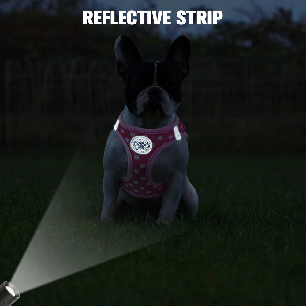 BEAUTYZOO durable nylon chest harness resists wear and rain for everyday use.