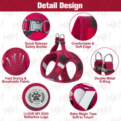BEAUTYZOO step-in harness easy-on design for quick, stress-free leashing.