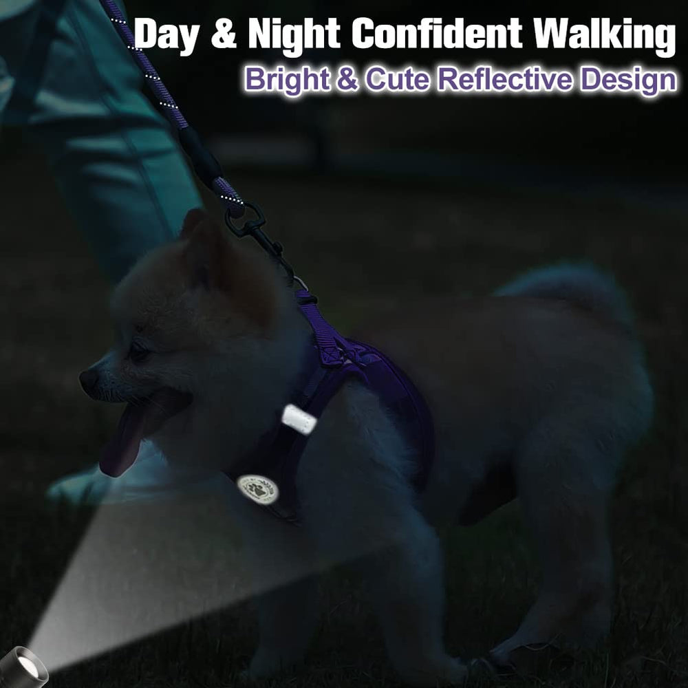 BEAUTYZOO step-in harness illustration showing easy on-and-off for petite pets