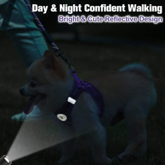 BEAUTYZOO step-in harness illustration showing easy on-and-off for petite pets