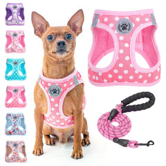 BEAUTYZOO Step-In harness polka dot with soft padding for comfortable fit.