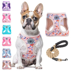 BEAUTYZOO step-in harness for quick, comfortable daily walks.