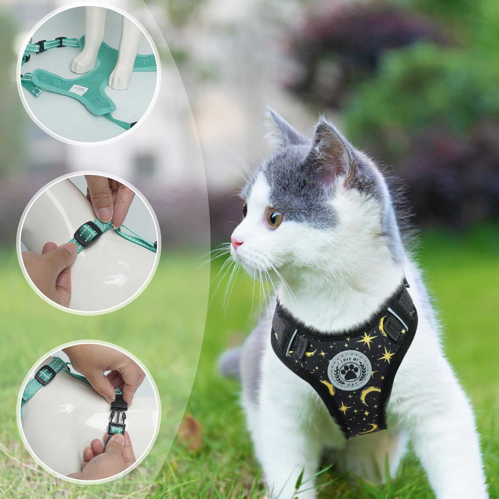 BEAUTYZOO walking outdoors with cat demonstrates secure harness use.