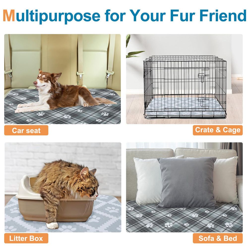 BEAUTYZOO four-pack is convenient for swapping while washing