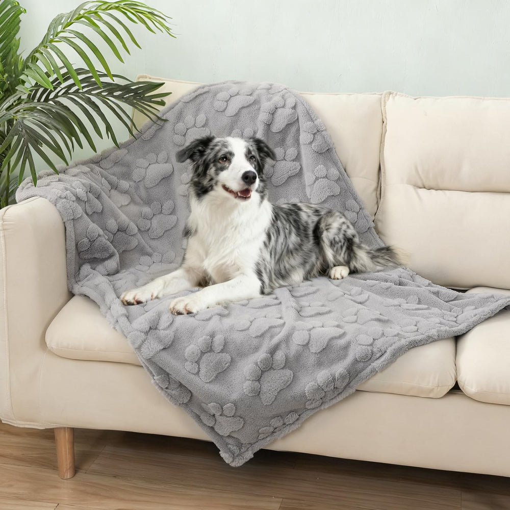 BEAUTYZOO waterproof dog blanket on couch protects furniture from spills and fur.