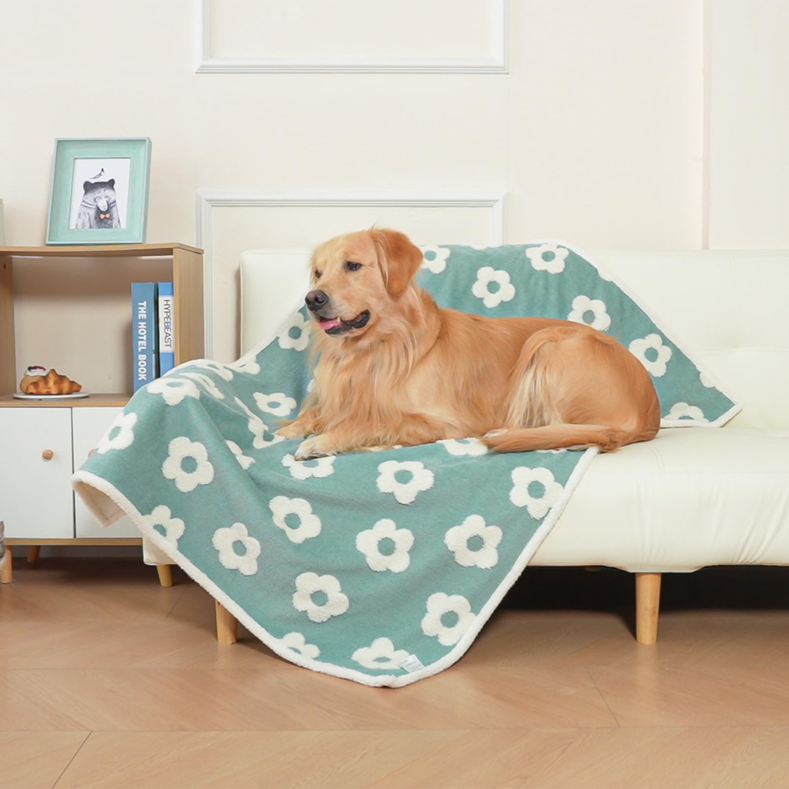 BEAUTYZOO waterproof dog blanket on sofa protects furniture from spills and fur.