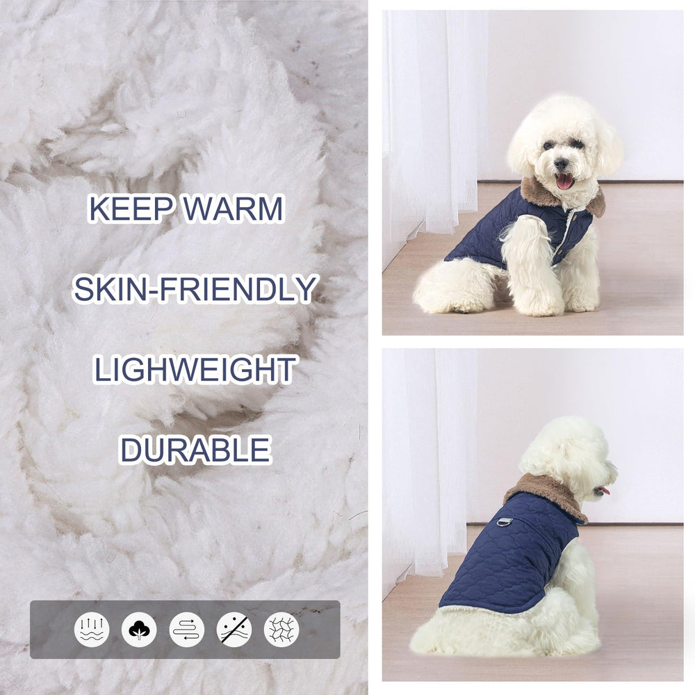 BEAUTYZOO worn on small-medium dog in snowy scene suggests cold-weather versatility