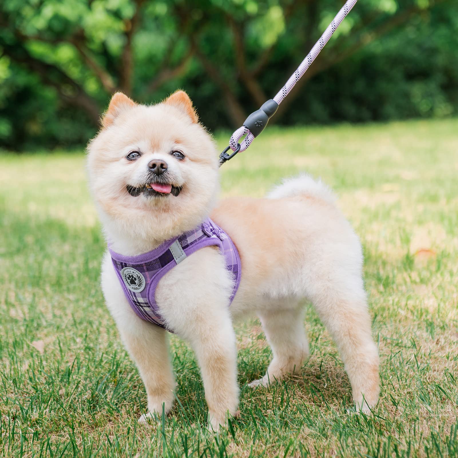 BEAUTYZOO XS-sized harness measure guide helps correct sizing before purchase