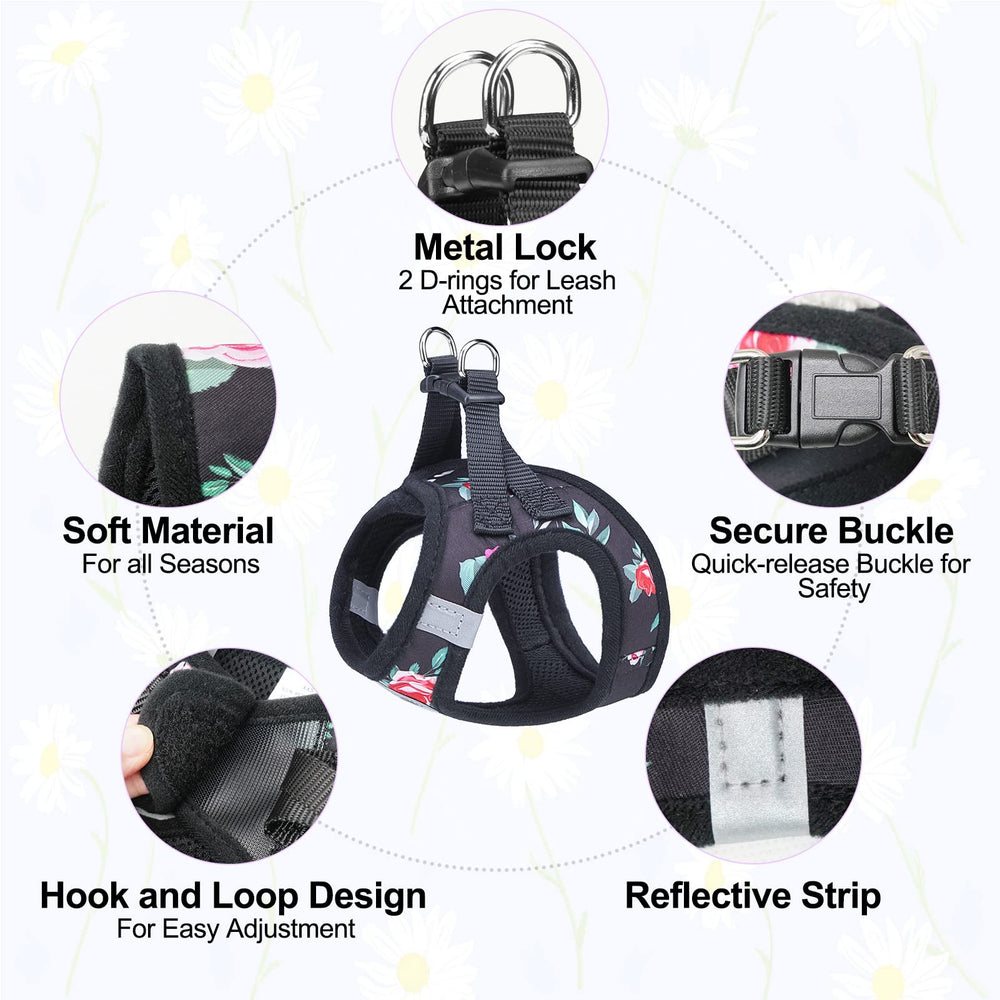 BEAUTYZOO 5ft leash with padded handle ensures comfortable, tangle-free training sessions