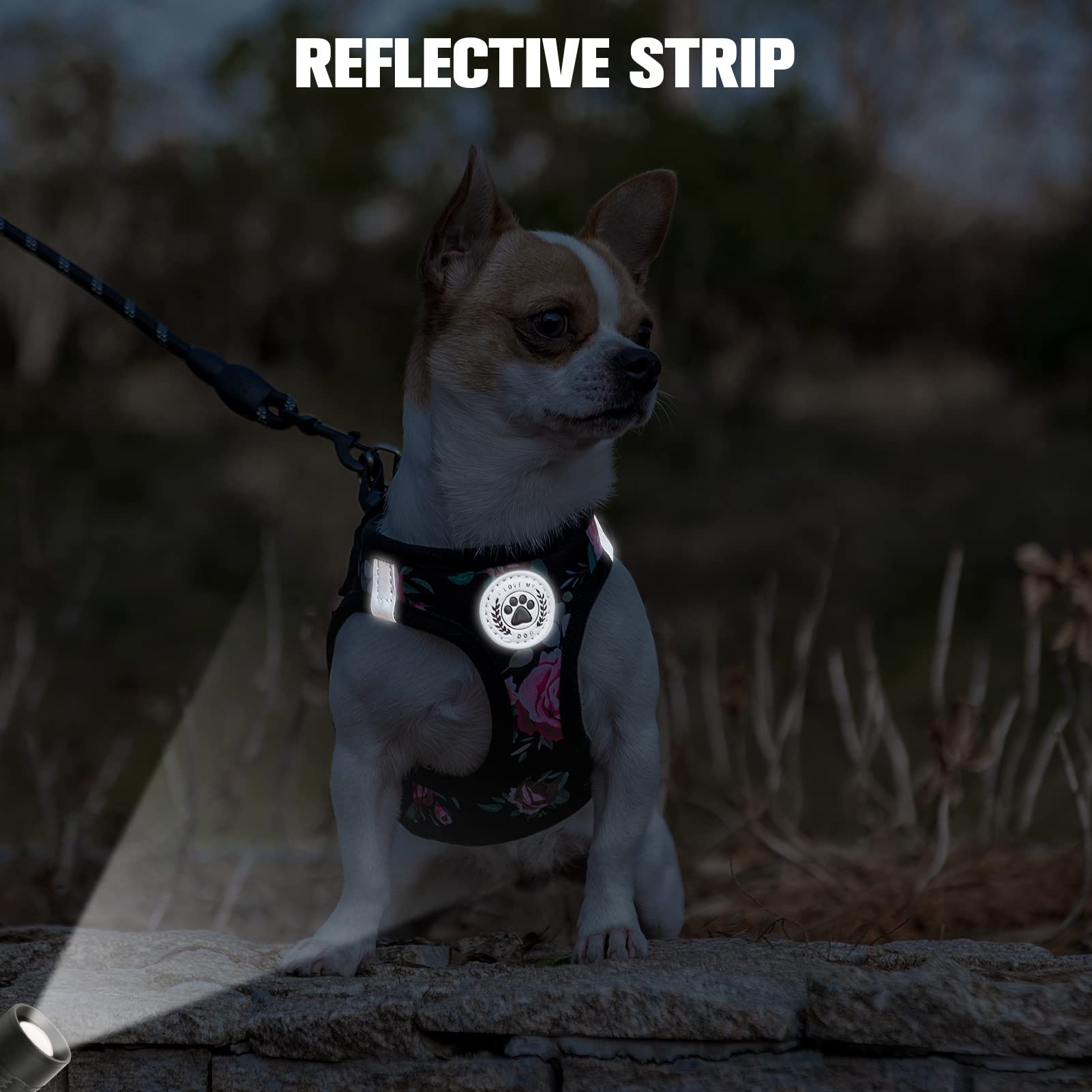 BEAUTYZOO step-in harness with D-ring attachment connects leash safely