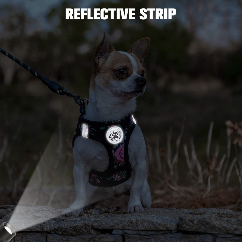 BEAUTYZOO step-in harness with D-ring attachment connects leash safely