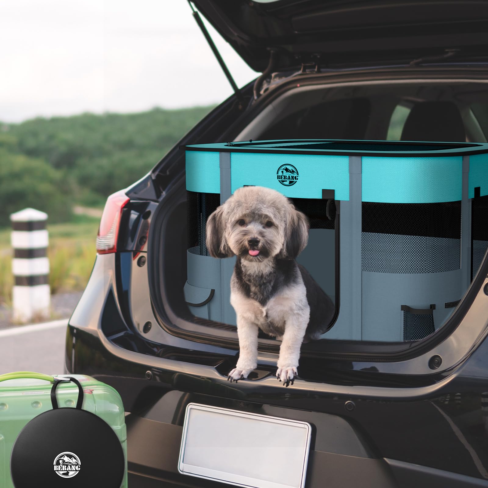 BEBANG Puppy Playpen assembled for quick, protective playtime in any space