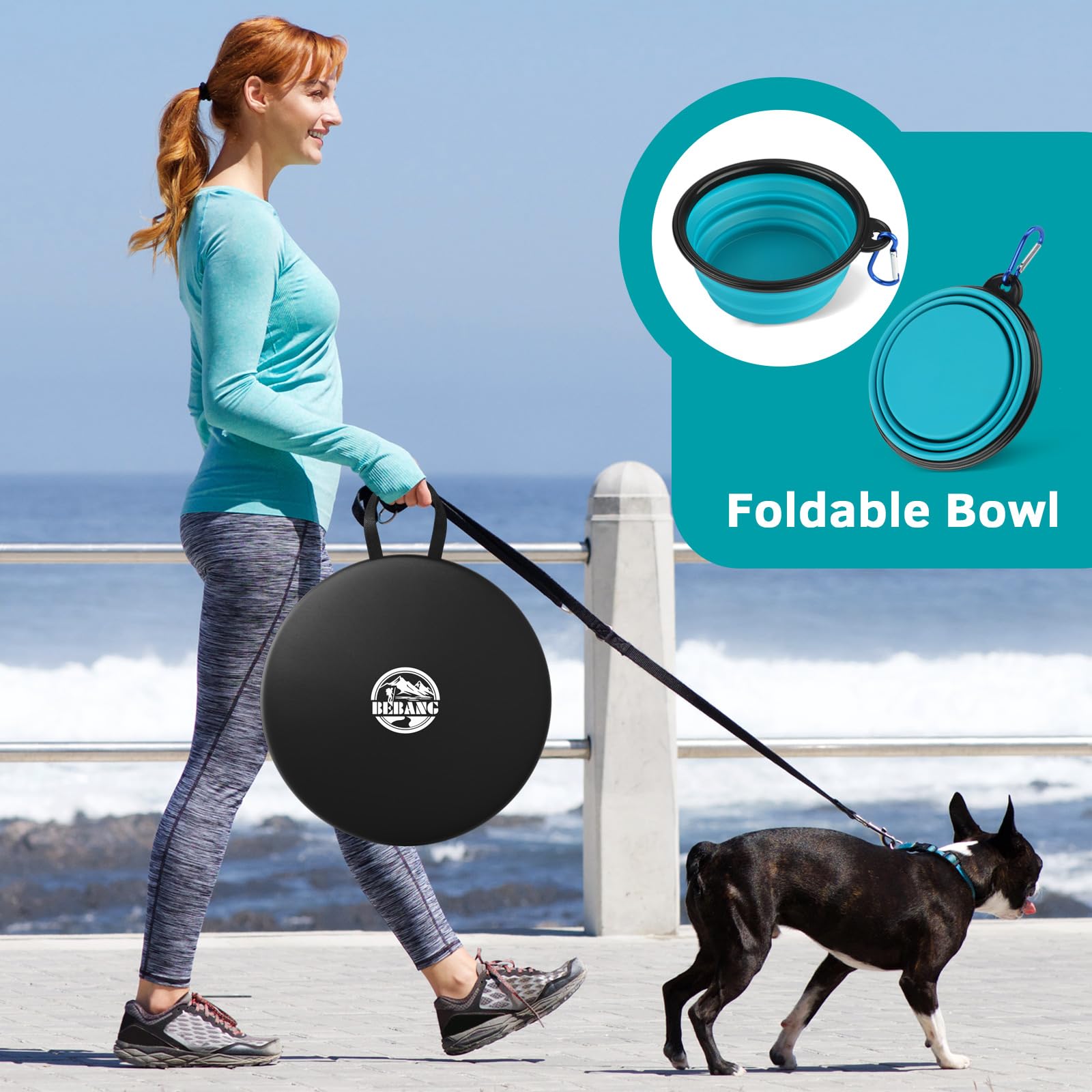 BEBANG display showing multi-size chart for pets up to 40 lbs.
