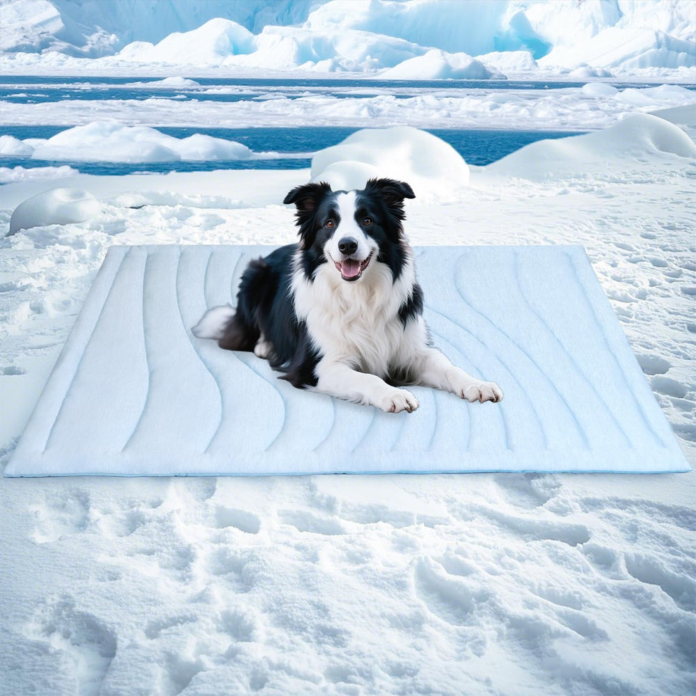 BECEMURU dog cooling mat 48x28 top view, cooling surface for pets.