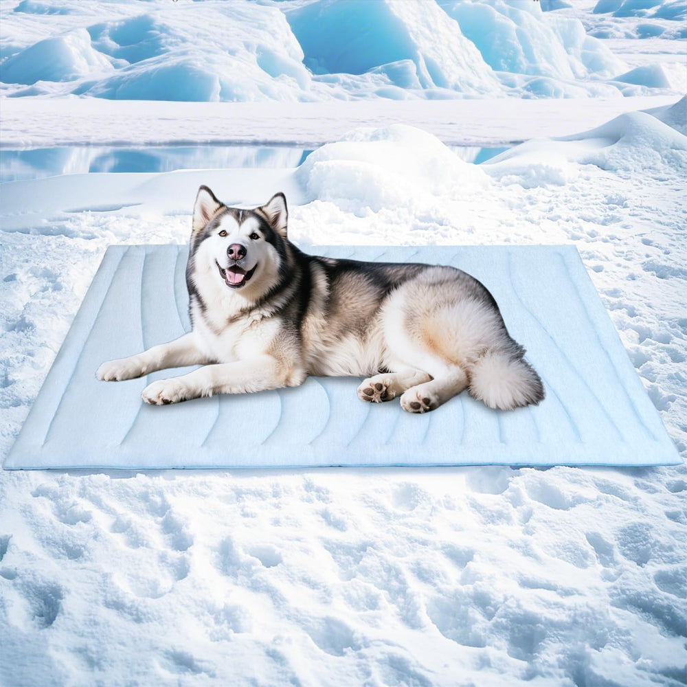 BECEMURU dog cooling mat 60x40 angled overview highlights generous space for easy lounging