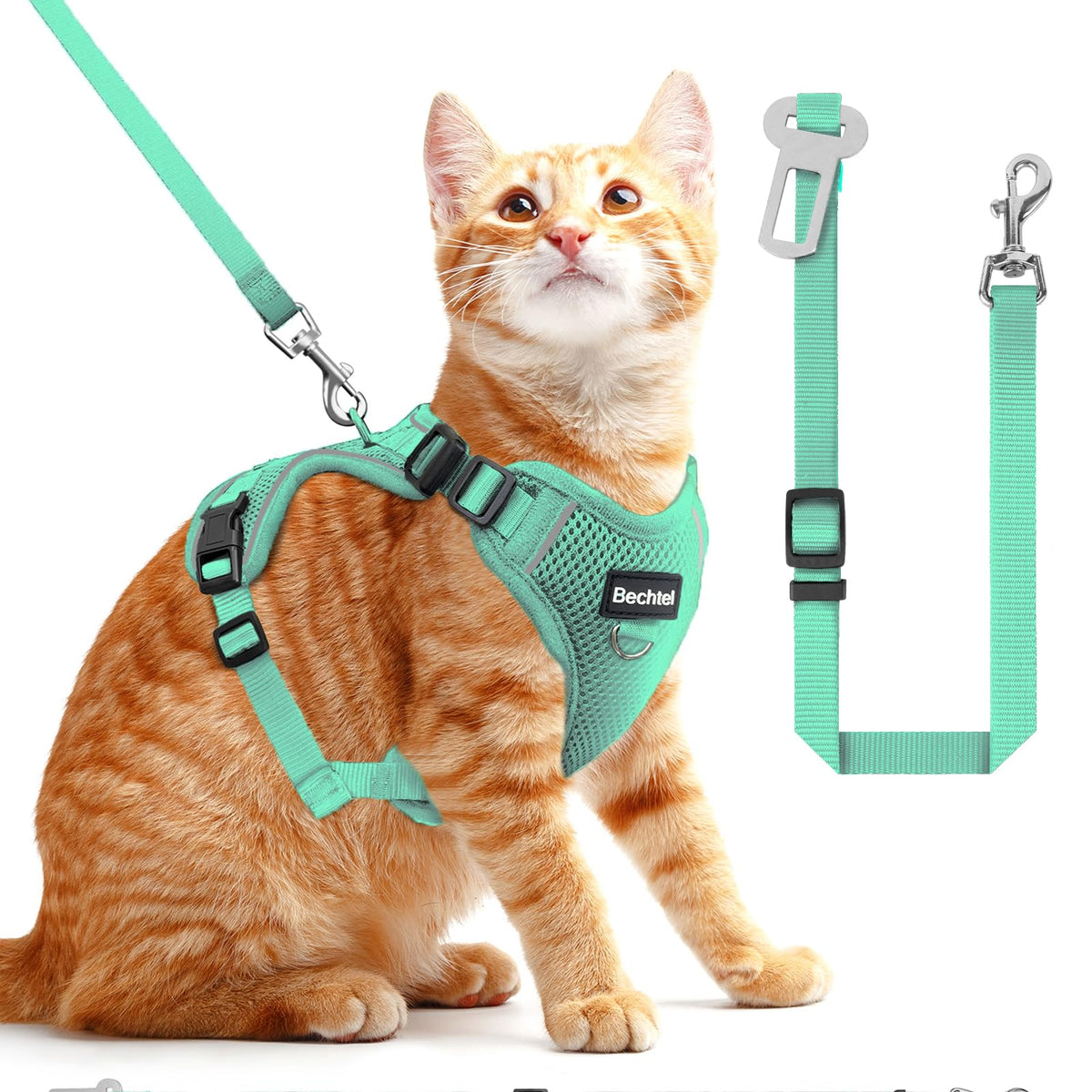 Bechtel cat harness with breathable mesh for cool, comfortable walks