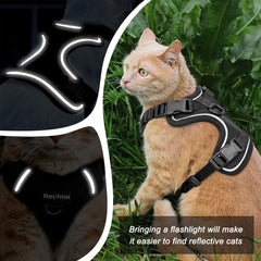 BECHTEL car seatbelt insert enables safe car rides for curious felines.